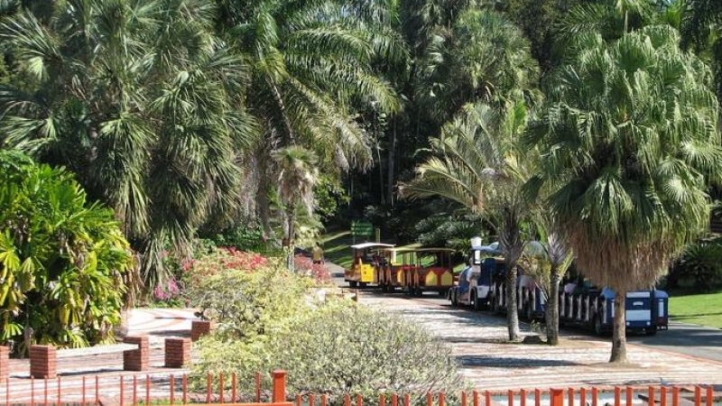 reducir el Jardín Botánico no es solución viable ni sostenible